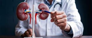 Nephrology & Urology